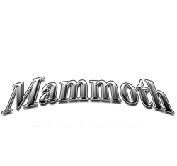 Mammoth Corporation
